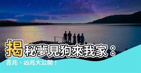 夢見狗來我家|夢見家裡有隻狗？揭秘潛藏的運勢與神秘象徵一次看懂！